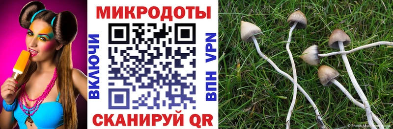 Псилоцибиновые грибы прущие грибы  Пестово 
